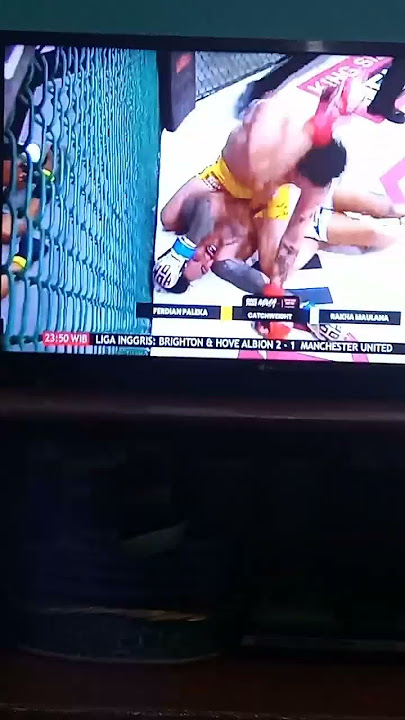 ferdian paleka vs kaisar kumis