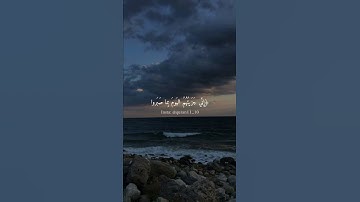 {إني جزيتهم اليوم بما صبروا} تلاوة من #سورة_المؤمنون - القارئ: #ياسر_الدوسري | #قرآن #quran