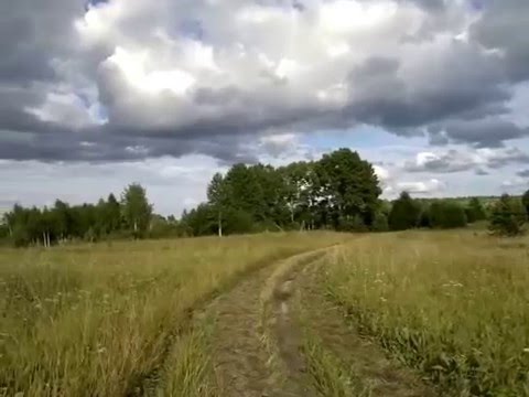 Ооо фаркоп устьянский район