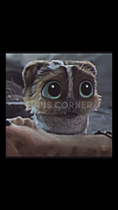 Puss and Perrito edit - Comfort Chain | Therapy Dog
