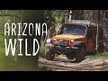 Secrets of the chiricahua mountains  v22e9