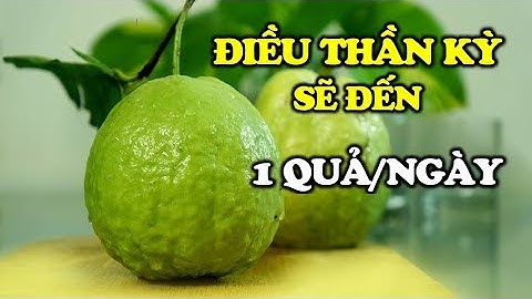 9 lợi ích sức khỏe đáng kinh ngạc từ trái ổi | Cuộc Sống Hạnh Phúc