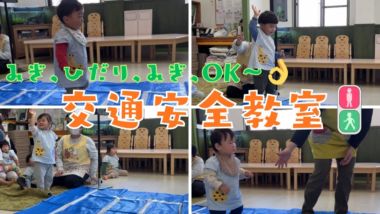 【保育園】横断歩道を渡る時の合言葉は…🚥～交通安全教室～