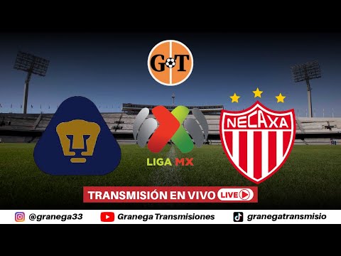 🎯 LO AGARRAMOS EN CALIENTE 🔥 Chocó y huyó… pero no por mucho tiempo | Revolución Social