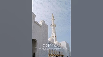 سورة النجم [بصوت القارئ ياسر الدوسري] (راحه نفسيه)