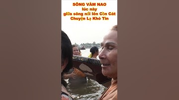 CHUYỆN LẠ SÔNG VÀM NAO NỔI LÊN CỒN CÁT hàng nghìn bà con đến tắm cồn đông vui như ngày hội #shorts