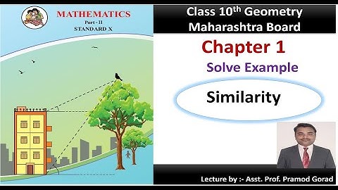 class 10 solved examples of similarity chapter 1 geometry