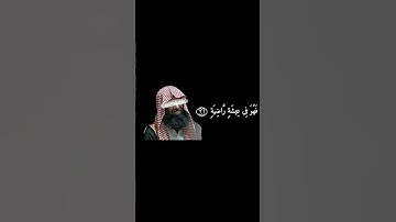 محمد اللحيدان سورة الحاقة #اكسبلور
