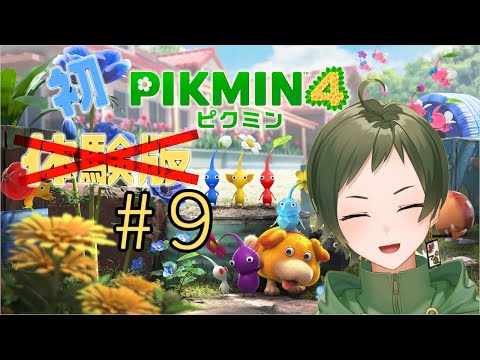 【ピクミン４】【Vtuber】レスキュー隊員出動！！【蒔染】