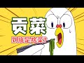 小魔 火锅里的贡菜 到底是什么菜 小魔 火锅里的贡菜 到底是什么菜