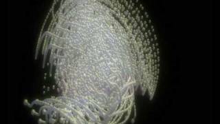 Maya particle Dynamics motion. Newton and Radial Fields