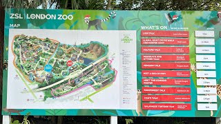 Roaring Wonders and Wildlife Marvels: Dive into the ZSL London Zoo Adventure #zoo #animals #travel