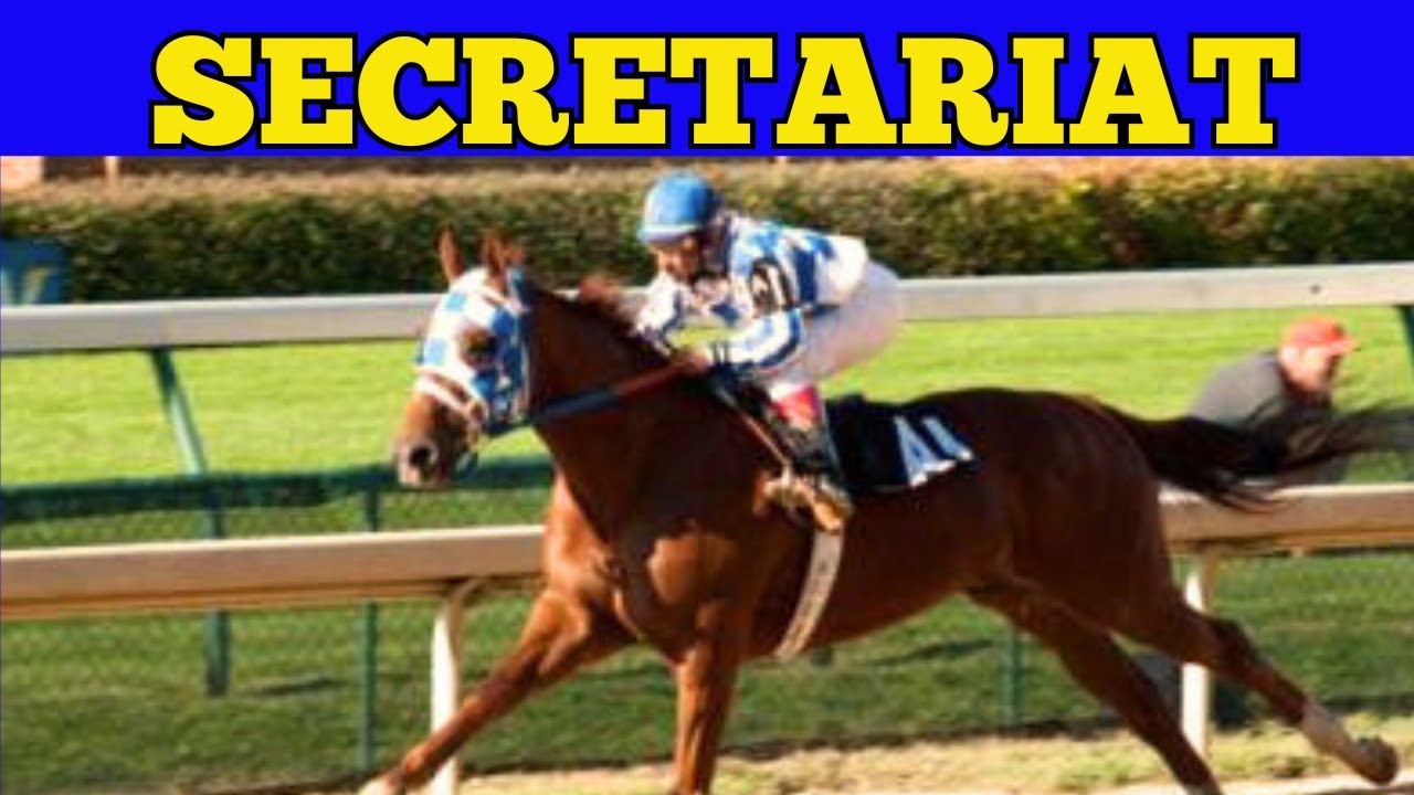 Secretariat: The Immortal Legend of Racing and His Incredible Journey ...