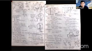 WebShadowers Virtual Shadowing — An Introduction to Neurosurgery as a Career screenshot 5