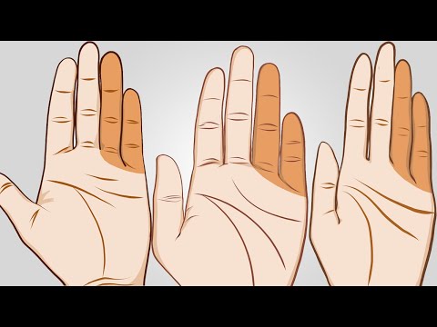 วีดีโอ: รูปร่างของนิ้วจะบอกลักษณะนิสัยของบุคคลอย่างไร