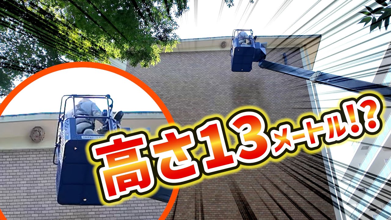 高い所のハチも逃さない…まさかのアクシデント⁉︎