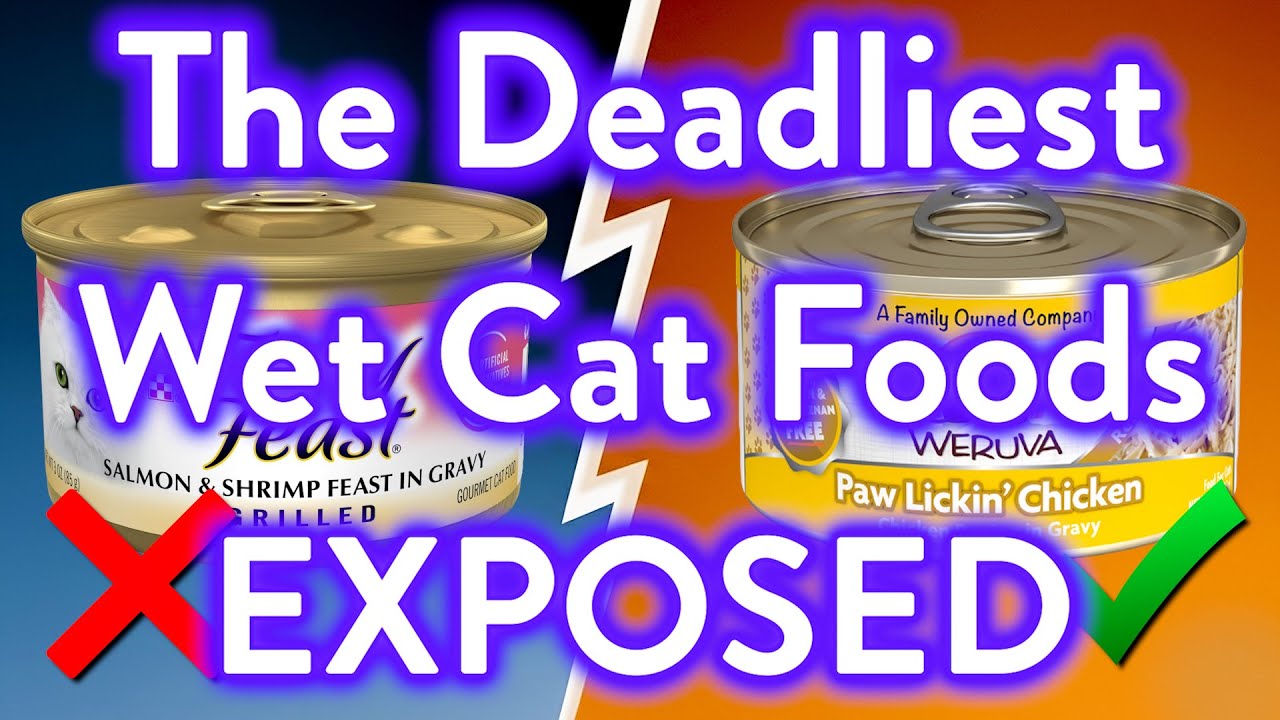 10 Wet Cat Food Brands To AVOID At All Costs! (And Few That Are Safe!)