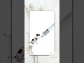 Stress-Free Nail Trims – LED Pet Clippers Pets Love!