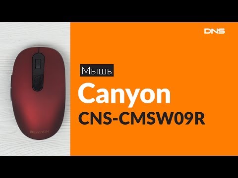 Распаковка мыши Canyon CNS-CMSW09R / Unboxing Canyon CNS-CMSW09R