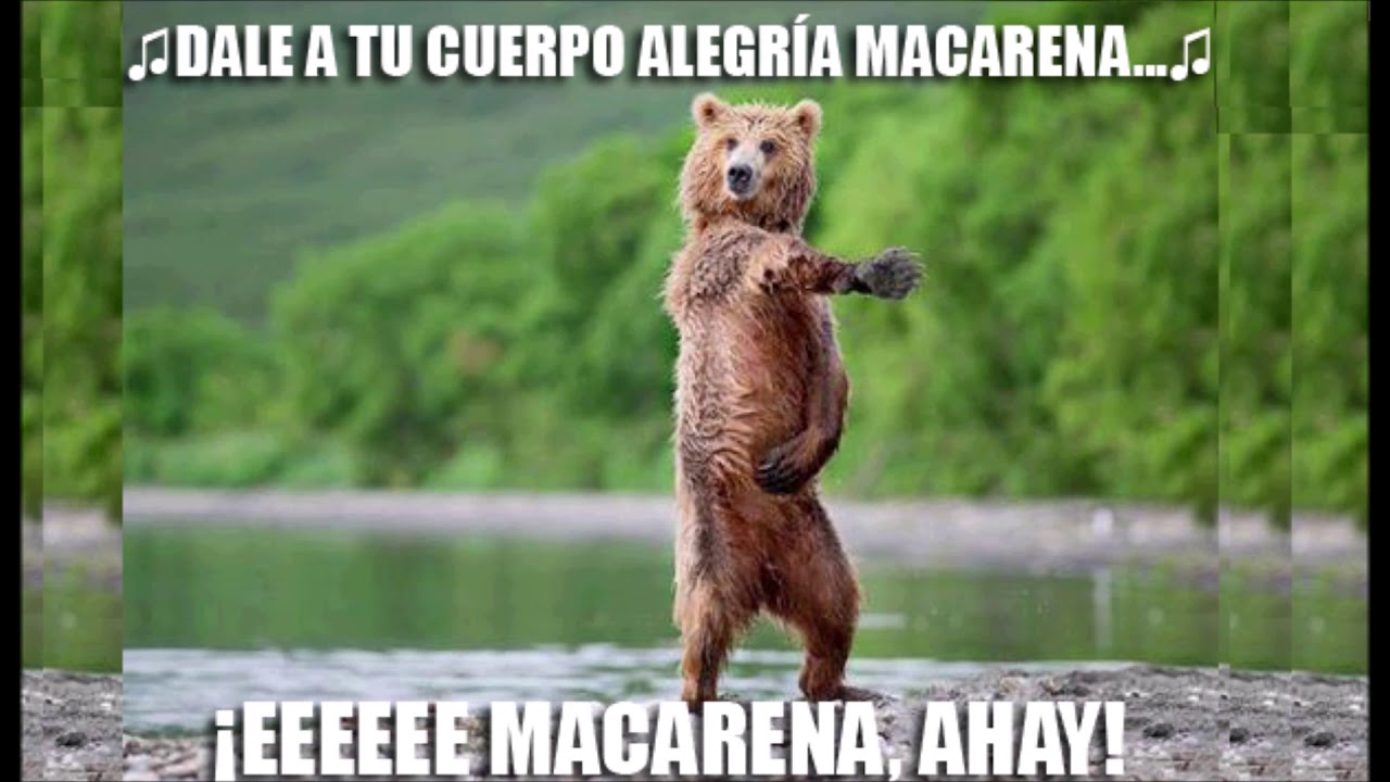 Macarena dale a tu cuerpo alegria Macarena con letra