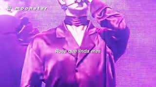 Rosa que linda eres! o Jin que lindo eres (Sevdaliza) - Alibi* [*sub* español]