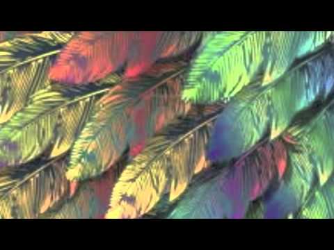 Feather Clean Nujabes