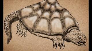 Turtle speed drawing (Wacom Intuos Pro tablet)