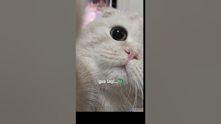 gua lagi gua lagi dahlah