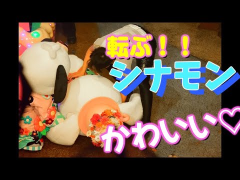 姉と行くサンリオピューロランド【でんでん】【Vlog】