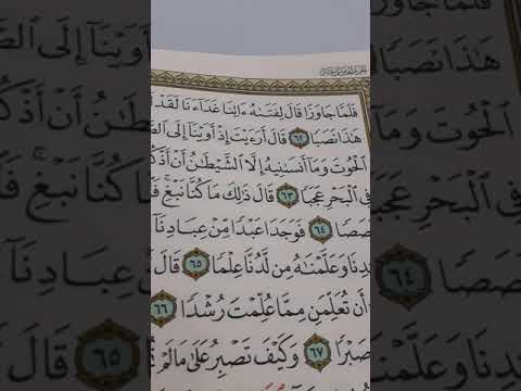 وما أنسانيه وعليه اتباع الرواية