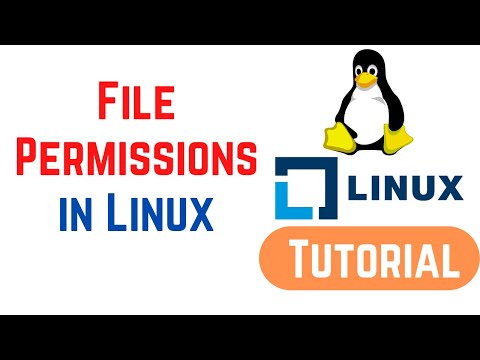 Video: Kaip suteikti skaitymo / rašymo leidimą sistemoje „Linux“?
