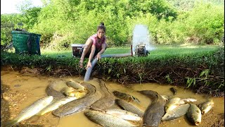 Full Video : Top Video How Girl Catches Fish In The Wild - Catching Fish Is Amazing