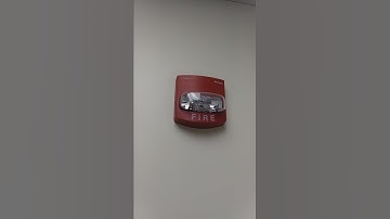 Simplex Truealert remote strobe