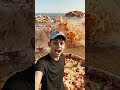 welcome to pizza 🍕 #aifoodvideo #aishorts #aivideo #aivlogger