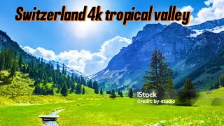 Switzerland 4k tropical valley