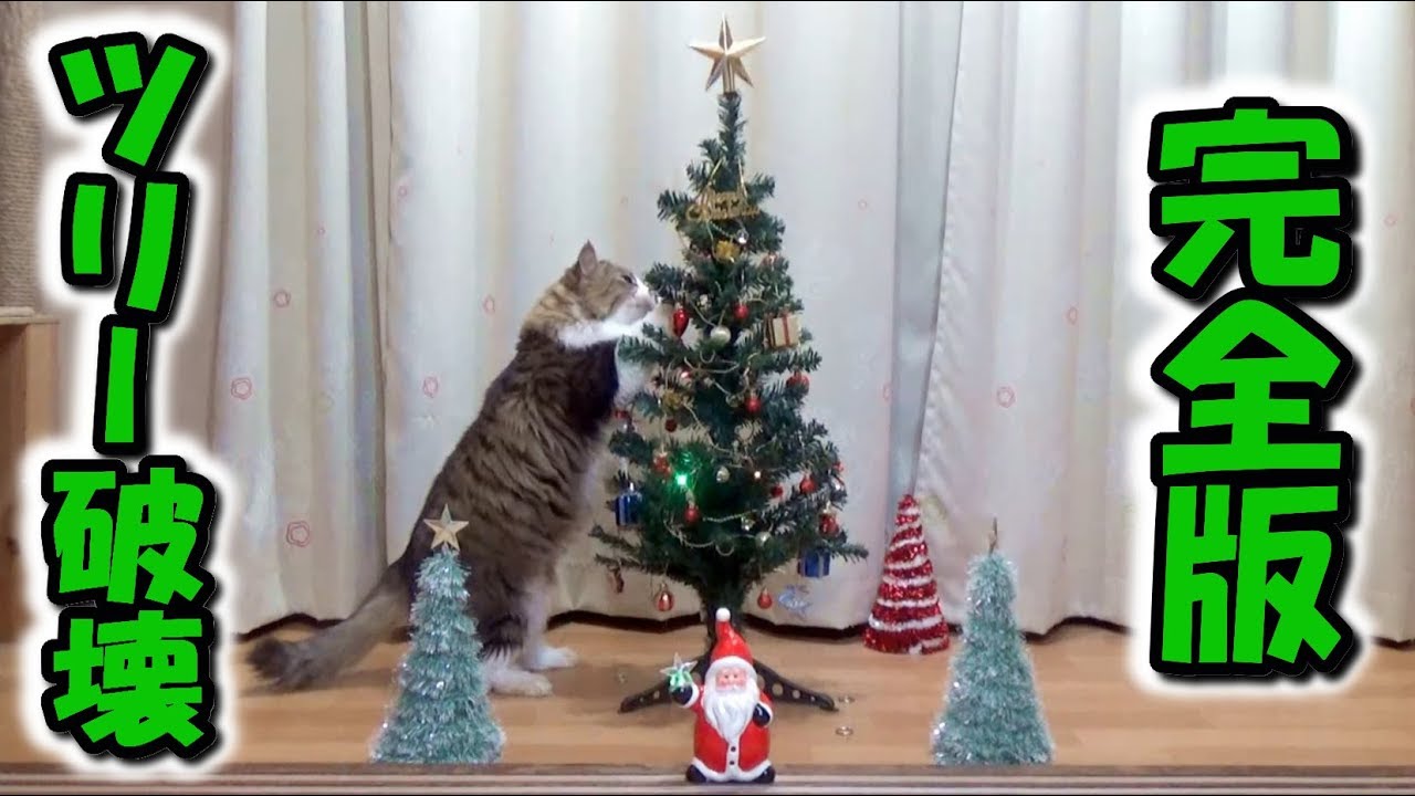 All The Details Of Boss Cat S Destroying The Christmas Tree Youtube