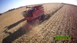 ETA VOET - CASE IH 2388 à chenille et MX 310 à la moisson du maïs en 2013