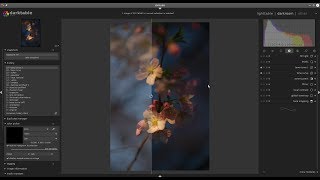 Editing moments with darktable 2.6.1 Episode 6: cherry blossoms screenshot 2