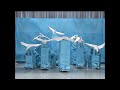 日テレ公式【仮装大賞】渡り鳥