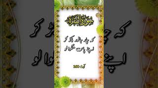 Story Of Prophet Ibrahim A.s Asking Allah