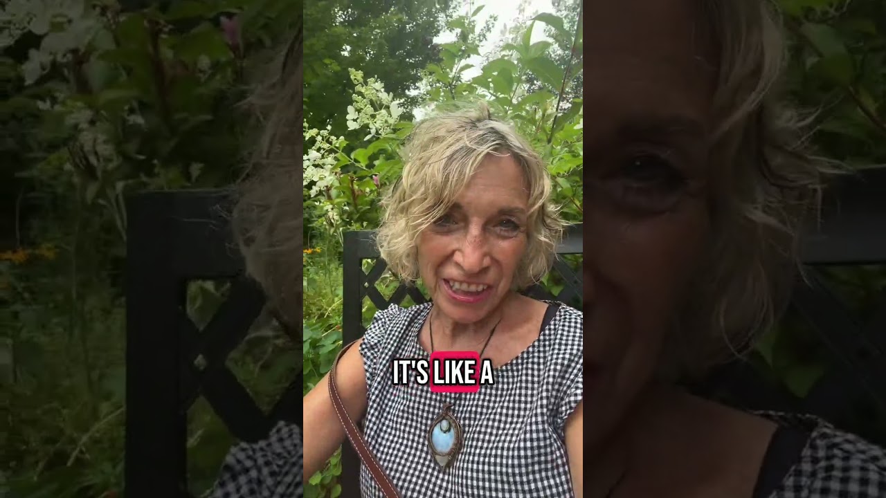 I am sitting in this beautiful garden at Jarvis Square Pottery in lovely East Rogers Park