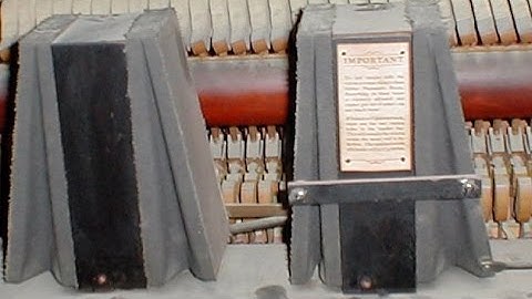 Lauter-Humana Tracking Device by John A Tuttle from Player-Care.com