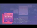 【Project Sekai】Into The Night EXPERT Show Clear 