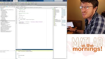 MATLAB - Newton
