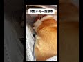 Dogs can t take planes because they might disturb others#Take a dog on a plane#Corgi#Pets