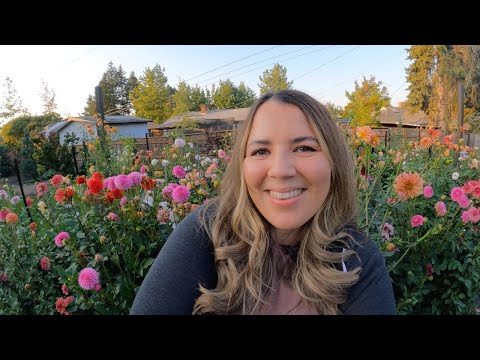 Dahlias: 2022 Dahlia And Cutting Garden Tour ?‍??✂️ // Coast To Coast Home And Garden