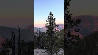 Exploring Mount Charleston  Nevada’s Hidden Mountain Escape #hiking