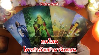 คนโสดใครกำลังเข้ามาในชีวิตคุณ❤️Pick a Card❤️