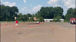 FOTO VIDEO Doi sibieni, printre cele mai bune gărzi de corp din lume - Au luat locul trei la campionatul mondial 4 video