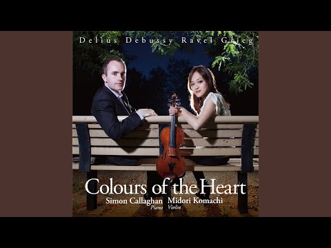 Sonata for Violin and Piano in G Minor: I. Allegro vivo